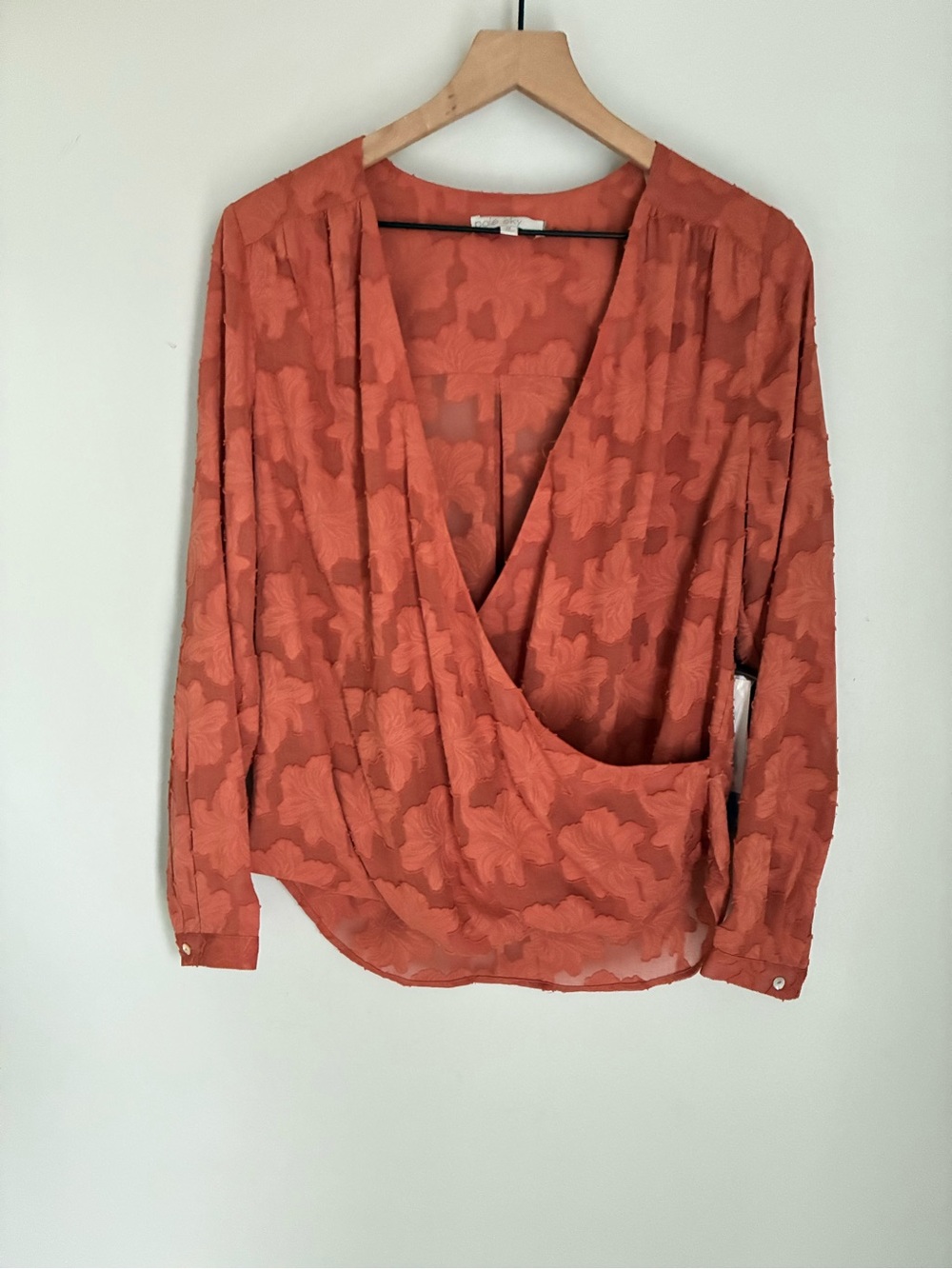 Pale Sky Semi Sheer Floral Blouse Long Sleeve Top Size Medium